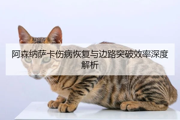a-sen-na-sa-ka-shang-bing-hui-fu-yu-bian-lu-tu-po-xiao-lv-shen-du-jie-xi-2-945.jpg