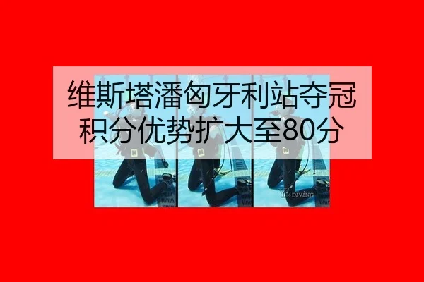 维斯塔潘匈牙利站夺冠 积分优势扩大至80分