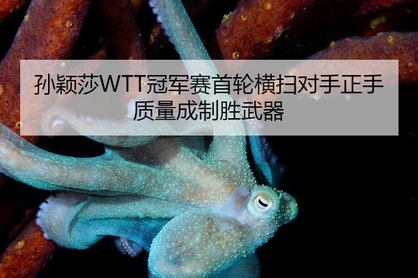 孙颖莎WTT冠军赛首轮横扫对手正手质量成制胜武器