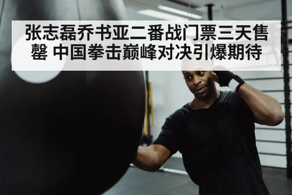 boxer punching heavy bag